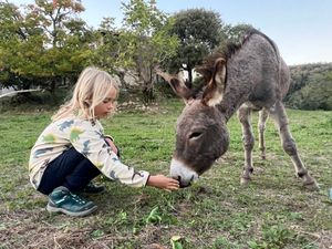  at Mas Campassol in Sant Iscle De Colltort
