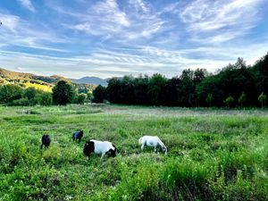  at Mas Campassol in Sant Iscle De Colltort