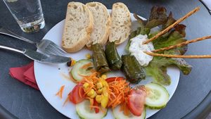 Filled wine leaves  at Cafe Malik in Muenster