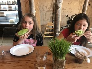 Avocado toast at NW Raw in Ashland