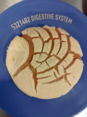 Conchitas 😋👌 at Boddi in Mexico City