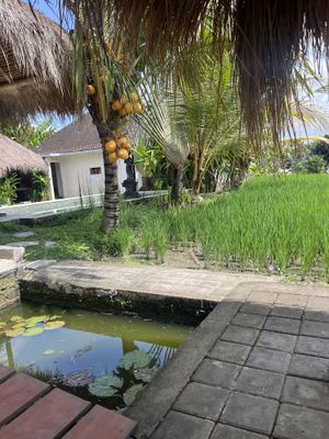   at RaFamily in Gianyar