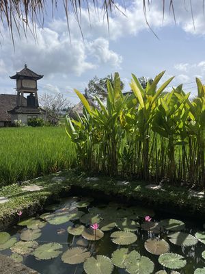   at RaFamily in Gianyar