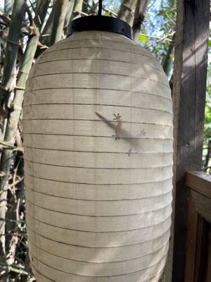   at Yên Homestay & Vegan Macrobiotic in Hoi An