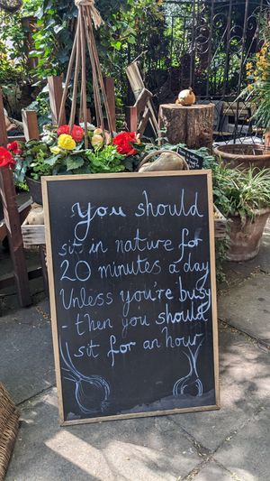  at The Onion Garden in South West London