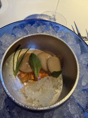 Trumpet mushroom with carrot gel   at Californios in San Francisco