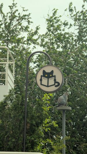  at Cafe Reading Cat in Seoul