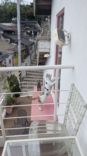  at Cafe Reading Cat in Seoul