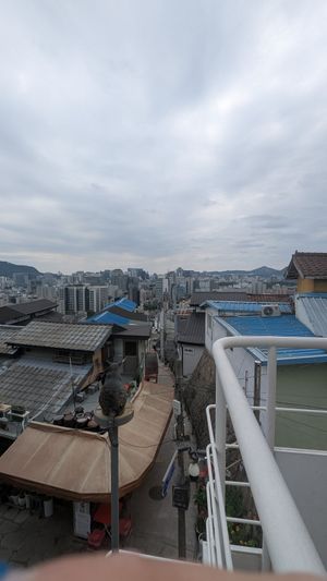  at Cafe Reading Cat in Seoul