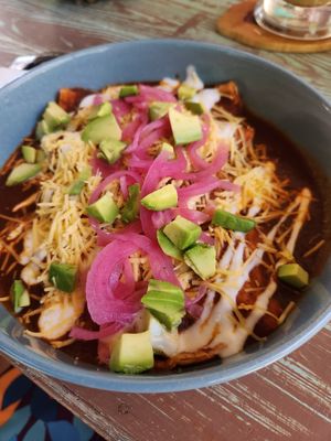 Bean taco dish at VeganBarrio in Cozumel