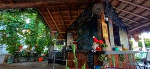  at VeganBarrio in Cozumel