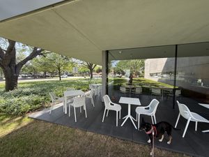   at Kin Cafe in Houston