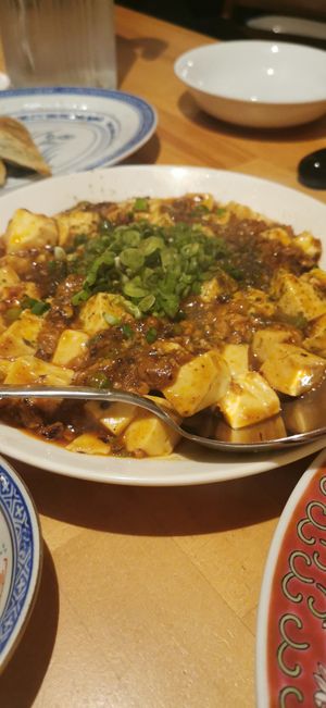 Mapotofu at Lo Fuo in Osaka