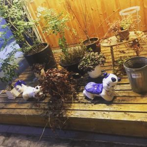 outside of restaurant  at Lo Fuo in Osaka