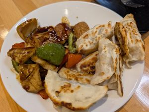 Potstickers and Calamari at VeggiEAT  in Flagstaff