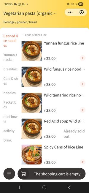  at Bodhi Tea, Plant Cuisine, and Mushroom Restaurant - 菩茶·植物料理·菌子上的餐厅 in Dali