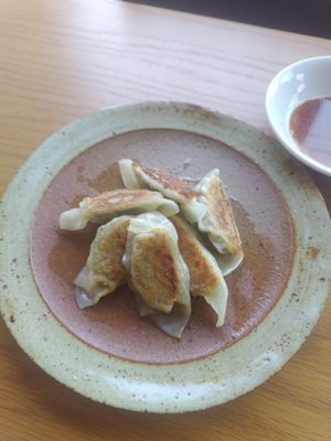 ヴィーガン餃子 at Vegan Ramen YADOKARI in Fukuoka