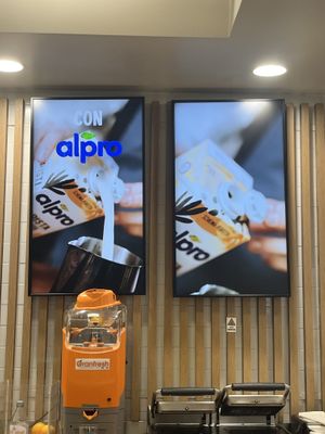 Alpro   at PSA - Market in Pisa