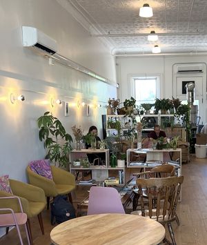 Ambiancee  at Little Seed in Middlebury