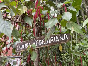 Vegetarian food at Natuwal - Espaco Nectar in Rio De Janeiro