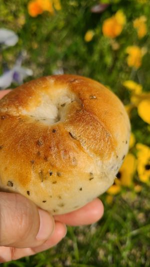 Basil bagel, バジルベVeganーグル at Mai+Chie Kitchen - まいちえキッチン in Hiroshima