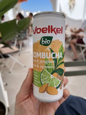 One kombucha   at Palm Twins  in Naxos