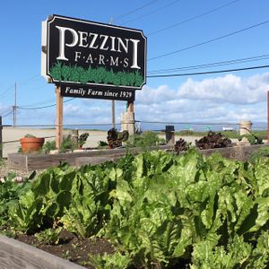 Pezzini Farms entrance sign at Pezzini Farms in Castroville