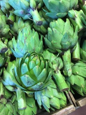 Artichokes at Pezzini Farms at Pezzini Farms in Castroville