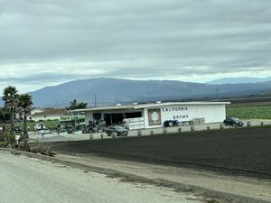 Exterior of farm stand building    at Pezzini Farms in Castroville