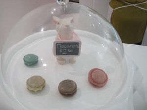 Macaroons Unforgettable!!! at Petit Lapin in Mount-royal