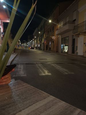  at Panda Burgers  in Olbia