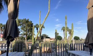   at Michael's In Borrego in Borrego Springs
