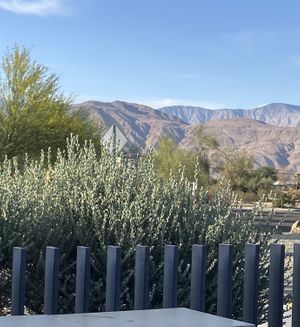   at Michael's In Borrego in Borrego Springs