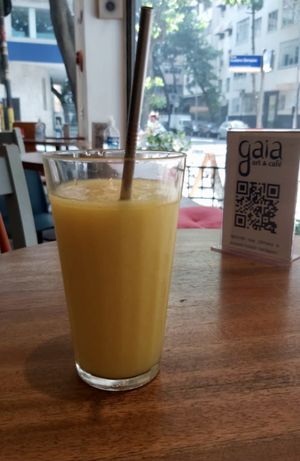 Mango, passion fruit, coconut water and cane syrup  at Gaia Art and Cafe in Rio De Janeiro