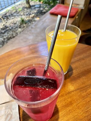 Detail of the beet juice ice at Gaia Art and Cafe in Rio De Janeiro