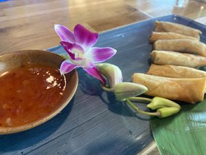 Vorspeise - Frühlingsrollen  at Ngocha1078 in Munich