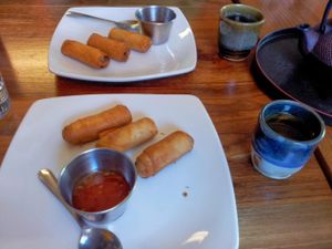 Vegetarian Spring Rolls at Thai Grille in Westerville