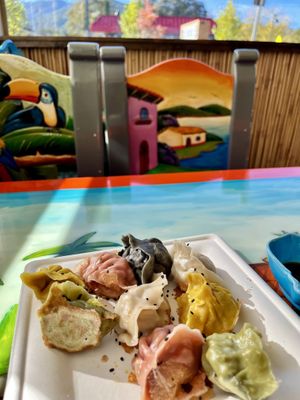 5 Color dumplings   at Amita Garden in Ukiah