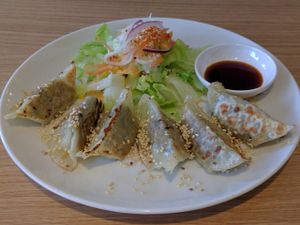 dumplings at Loving Hut - St. Hanshaugen in Oslo