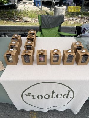   at Rooted  in Canmore