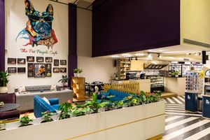  at The Pet People Cafe in Bangalore