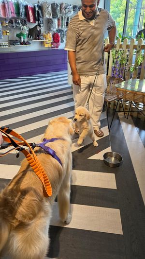  at The Pet People Cafe in Bangalore