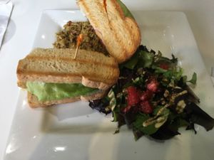 ZLT w/salad and house rice - YUM! at The New Vegan in Delray Beach