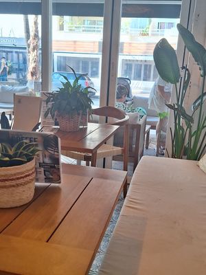  at PLANT SHACK    in Mallorca