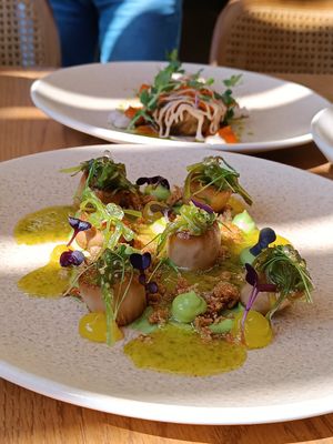 King Oyster "Scallops" at The Açaí Restaurant in Rhodes