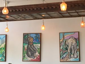 cute decor  at Seed - Faubourg Lafayette in New Orleans