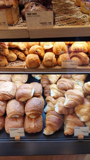  at Land & Monkeys - Père Lachaise   in Paris