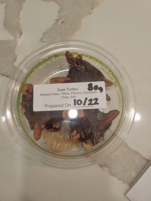 Turtle at Sip Sip Hooray Garden Cafe  in Englewood