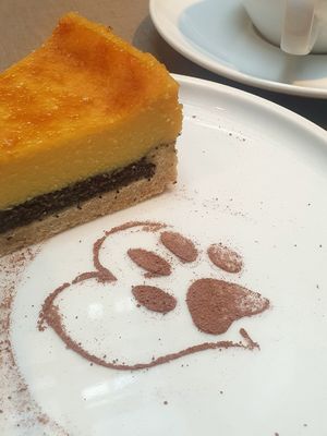 Mohn-Cheesecake, superlecker! at Katzentempel Berlin Mitte in Berlin