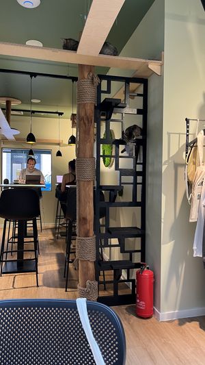   at Katzentempel Berlin Mitte in Berlin